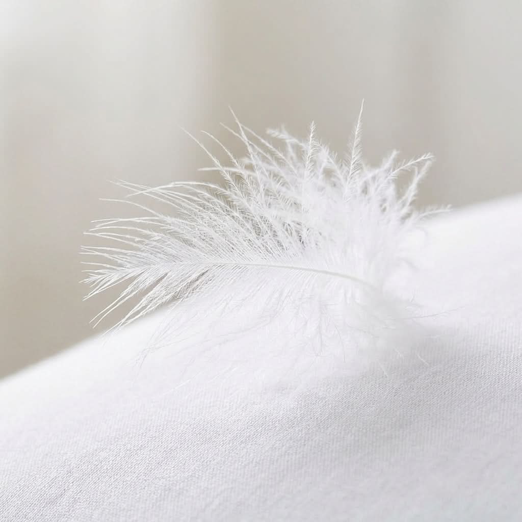 Plume de duvet d'oie légère posée sur un oreiller blanc en coton