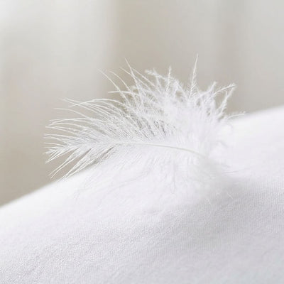 Plume de duvet d'oie légère posée sur un oreiller blanc en coton