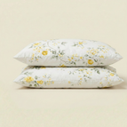 Jardin Citronnier / 50x70